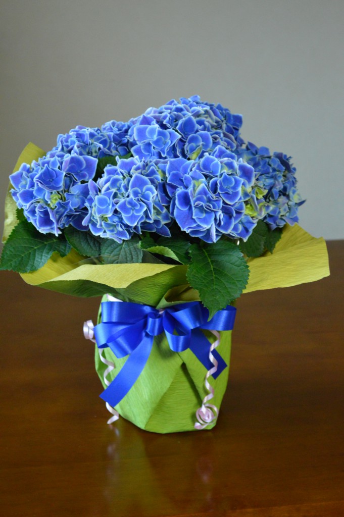 DSC_2414 (1396x2100)
